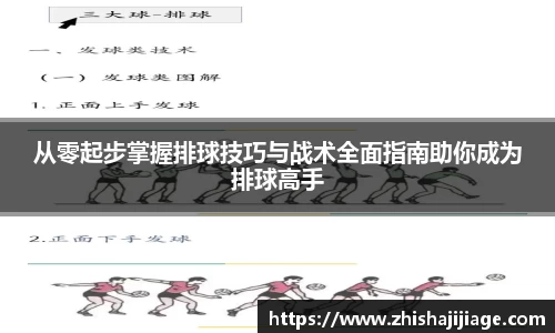 从零起步掌握排球技巧与战术全面指南助你成为排球高手