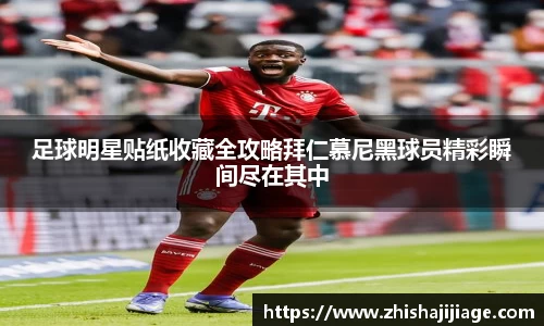 k1体育